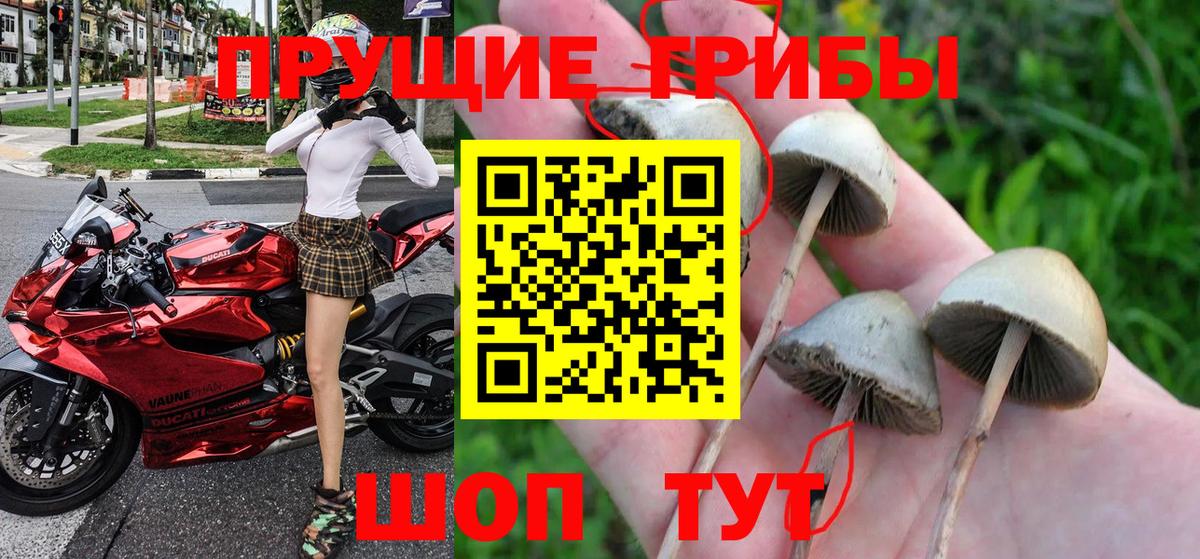 Псилоцибиновые грибы MAGIC MUSHROOMS  цены наркотик  Благодарный  Вход с VPN 